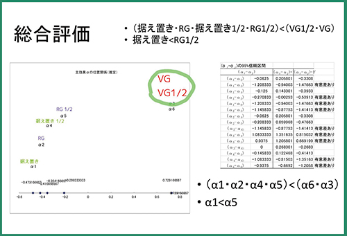 図2　Virtual Gridの視覚的評価（総合評価）