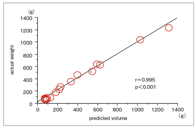 図1　予測肝重量と摘出肝重量の比較
