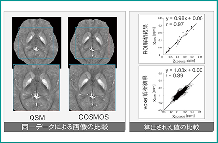 図5　QSMとCOSMOS法2）の比較